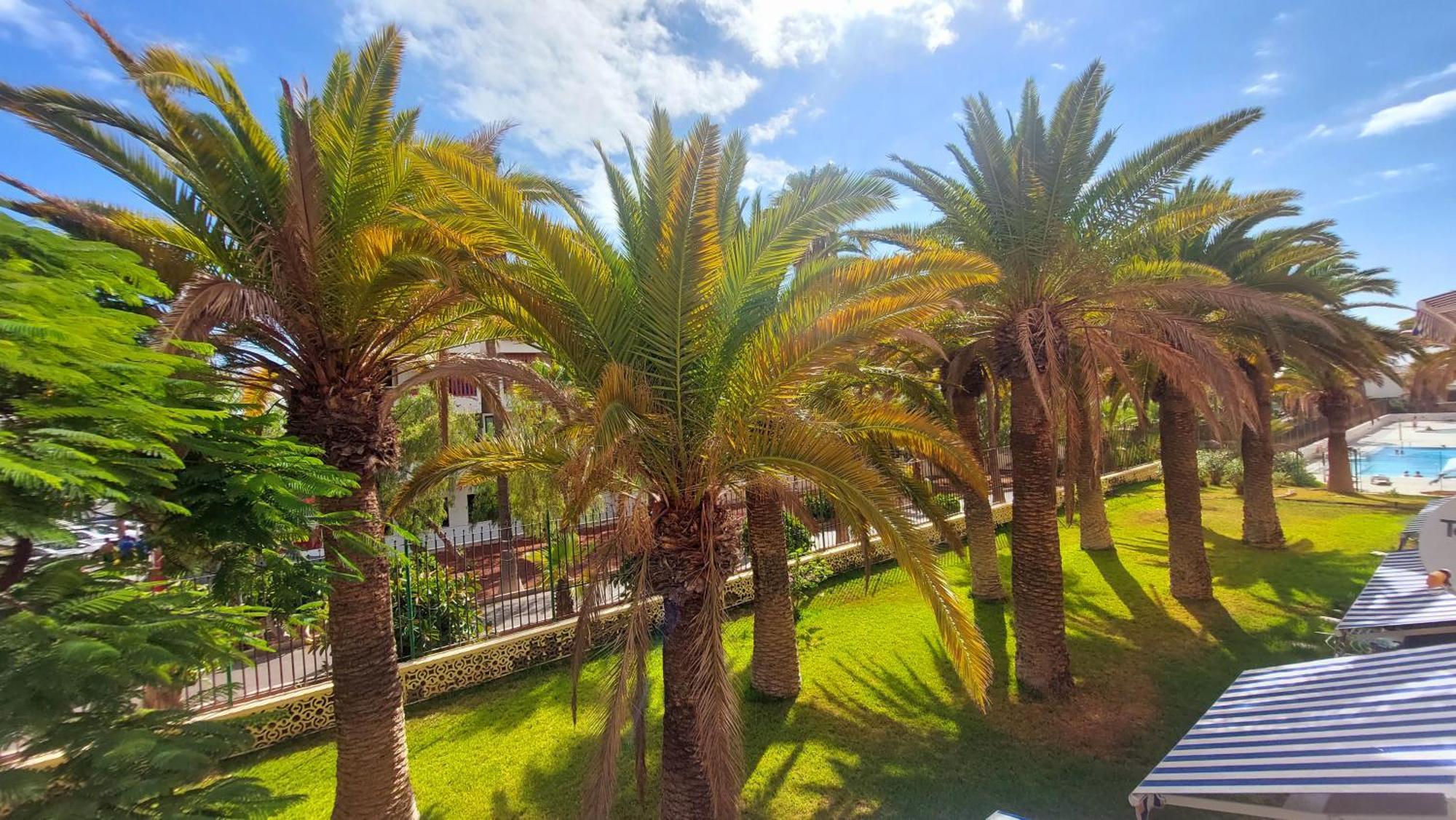 Apartamento Margarita Con Piscina En Playa Honda, Playa Las Americas Arona  Luaran gambar